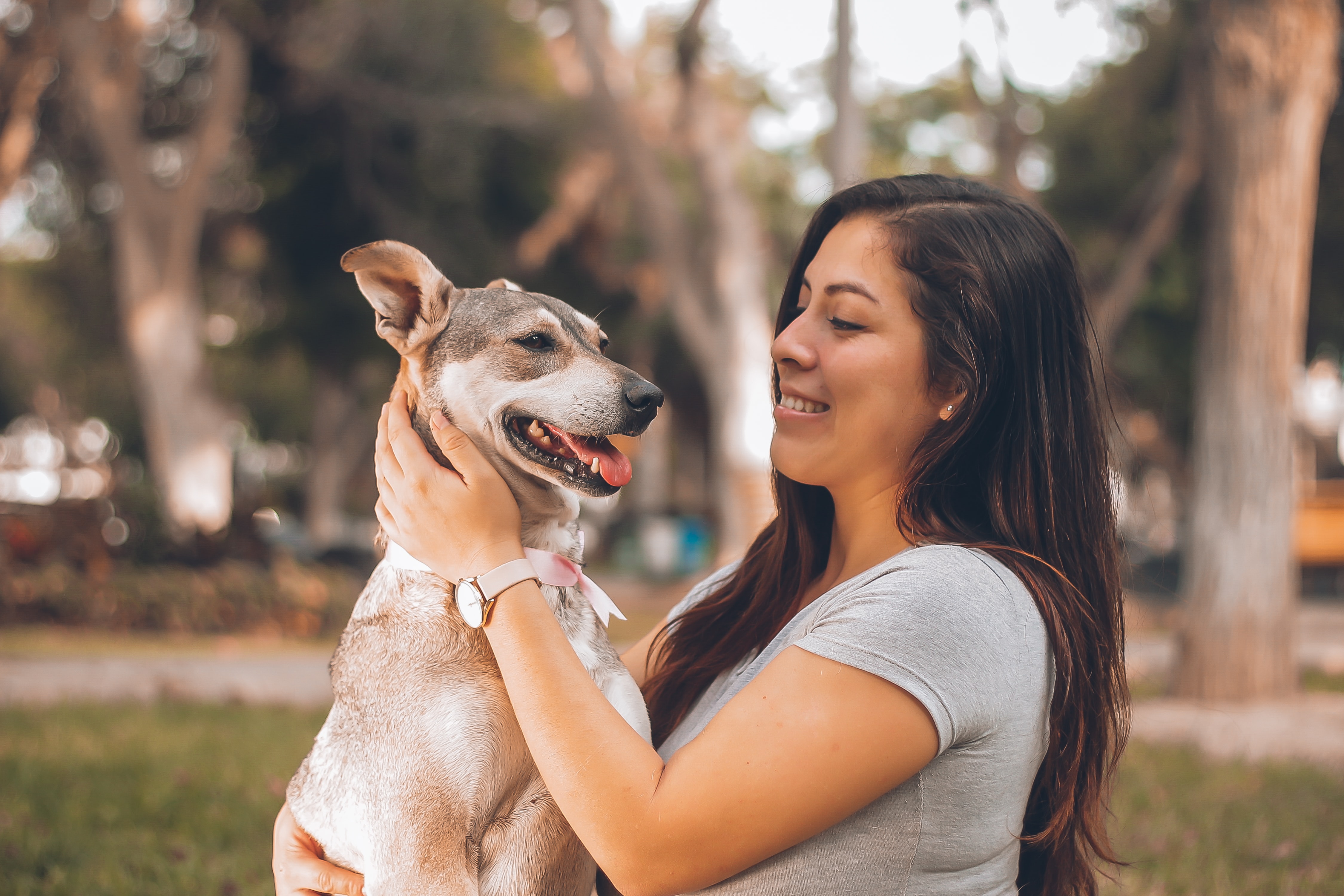 woman-holding-dog benefit from an animal hospital management system